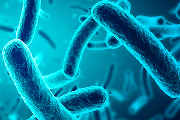 Le microbiote cutané aide à protéger l’organisme des agressions extérieures.