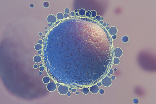 Les exosomes offrent de nouvelles perspectives dans la cosmétique et la médecine esthétique