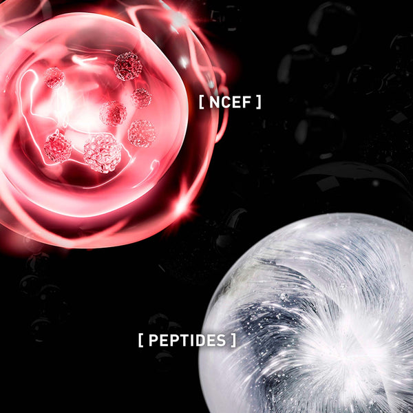 Visuel Ingrédient de UV CELLULAR PROTECT FACE 