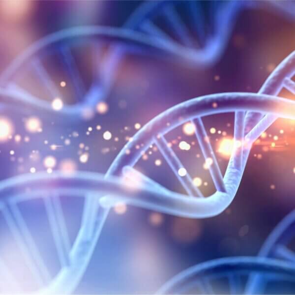 Protéger l’ADN de nos cellules est primordial pour lutter contre le vieillissement cutané